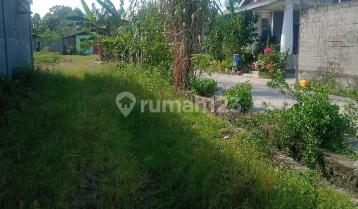 Pinggir jalan Raya, lokasi strategis penyangga ibu Kota baru