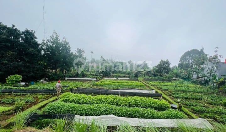 DIJUAL Tanah Kebun View Gunung Cocok Buat Villa Dekat The Highland Park Resort