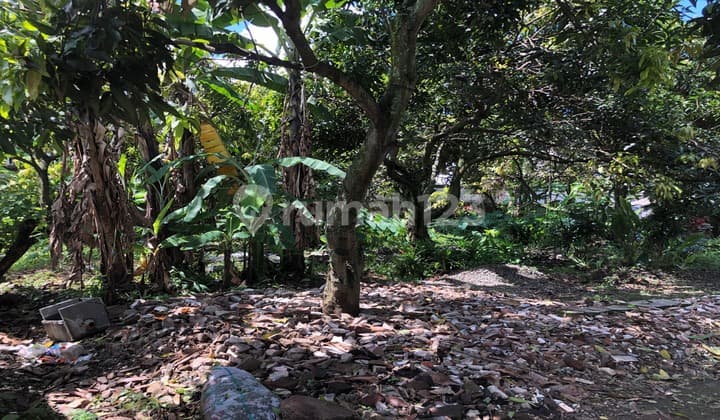 Tanah Kebun Di Bojongsoang Dekat Transmart Buah Batu Bandung