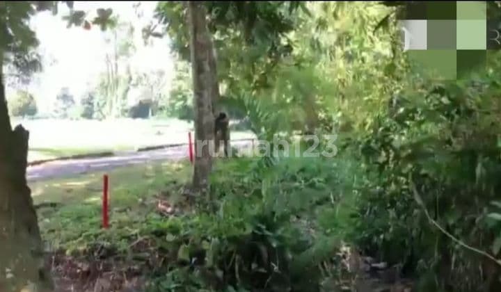 Tanah view golf gunung geulis