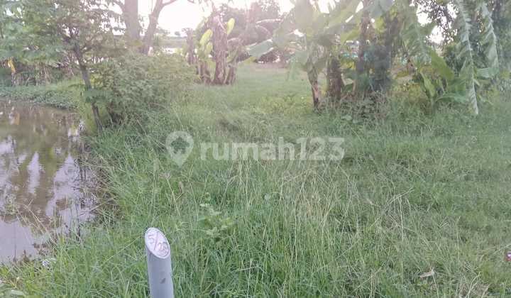 For Sale Land / Rice Field Area Indramayu, West Java, Land Area 3199m², Price 250 thousand/m² Negotiable.