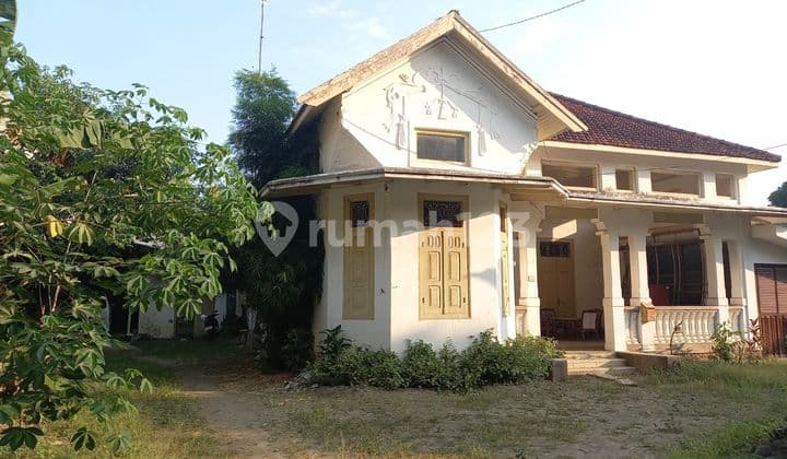 RUMAH INTERIOR CLASSIC BANGUNAN PREMIUM TULUNGAGUNG KOTA