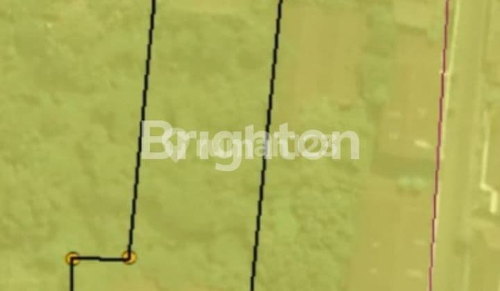 Gudang dengan Tanah Luas Srengat kan