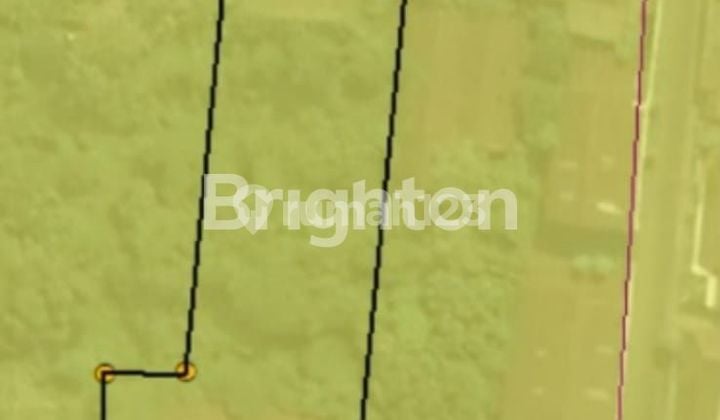 Gudang dengan Tanah Luas Srengat Blitar kan