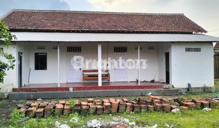 DISEWAKAN RUKO DAN GUDANG EX EXPEDISI. LOKASI SELANGKAH DARI JALAN UTAMA DAN AMAN.