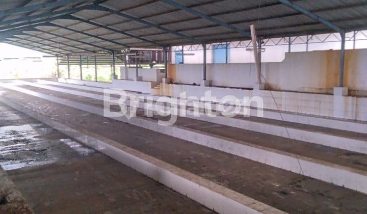 Tanah Ex Pabrik dekat pinggir jalan Purwonegoro Jawa Tengah