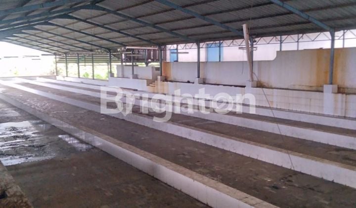 Tanah Ex Pabrik dekat pinggir jalan Purwonegoro Jawa Tengah