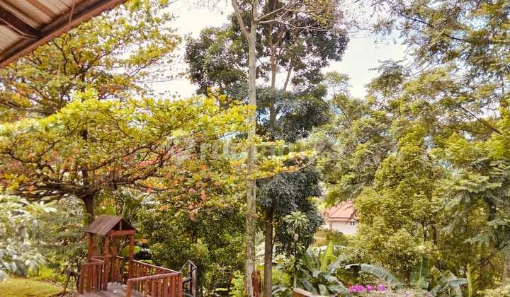 Dijual Tanah Dipakai Hotel Masih Berjalan Di Gunung Geulis Dkt Summarecon