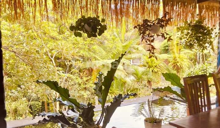 Dijual Tanah Dipakai Hotel Masih Berjalan Di Gunung Geulis Dkt Summarecon