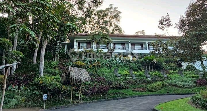 Turun Harga Tanah Lokasi Bonus Bangunan Hotel Di Gunung Geulis Dekat Summarecon Bogor