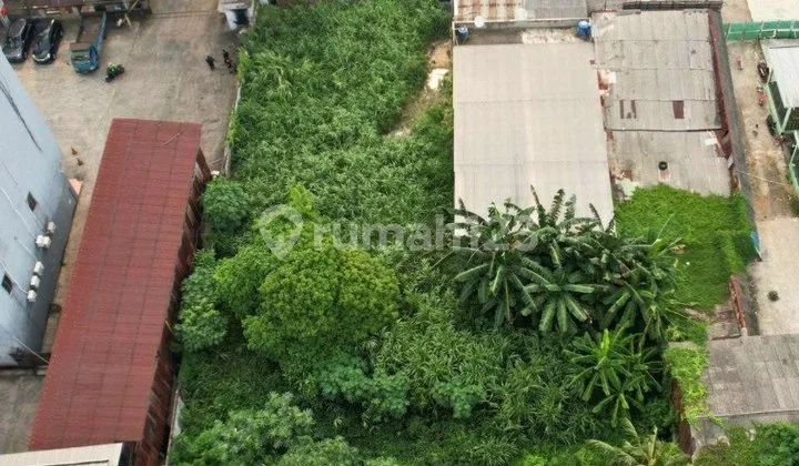 Dijual Cepat Kavling Luas Cilandak Jakarta Selatan