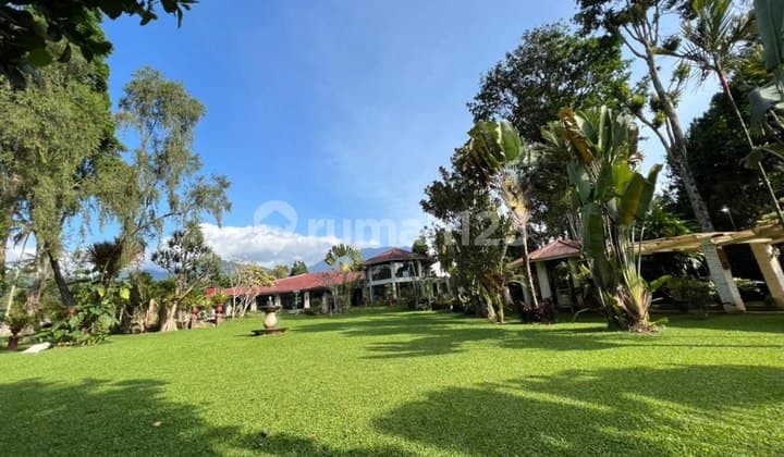 Villa View Pegunungan Dengan Halaman Yg Luas Lokasi Puncak Bogor