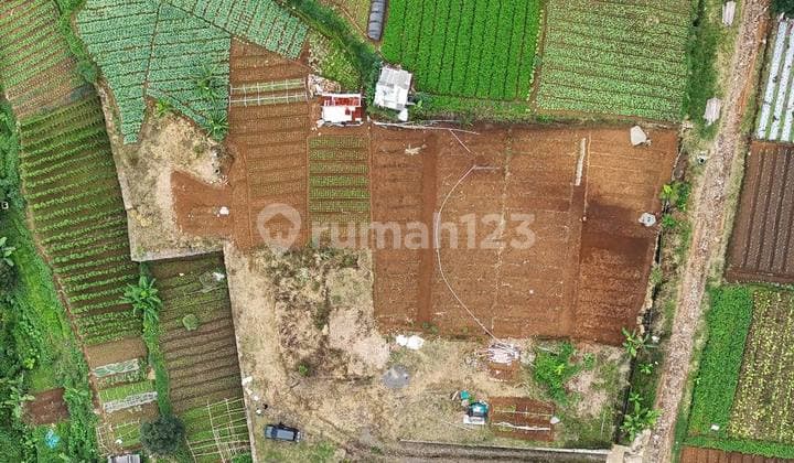 Mountain View Land, Cool Air and a Scenic Environment in Cipanas