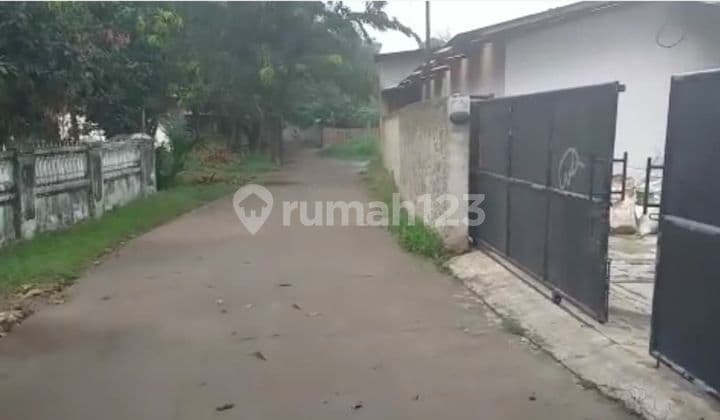 Turun Harga Gudang Ex Budidaya Lele Di Balaraja Tangerang Banten