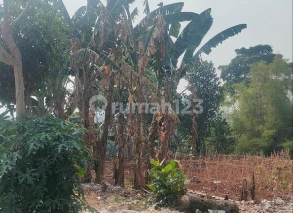 Vacant Land for Business in Pondok Cabe Cinere, 4 Certificates of Ownership Under 1 Name