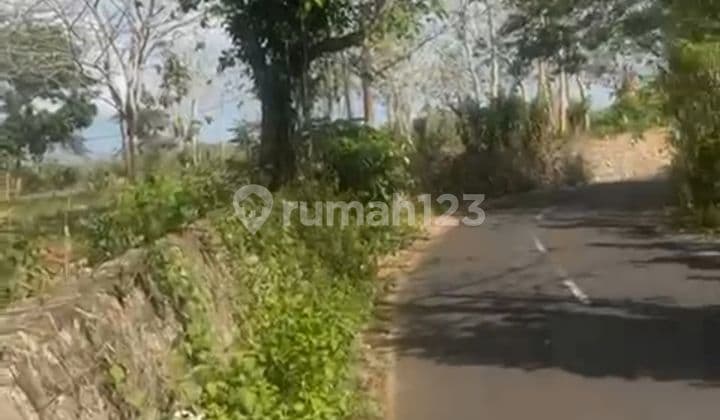 Disewakan Tanah Masih Harga Murah Di Daerah Pecatu Luas 8 Are