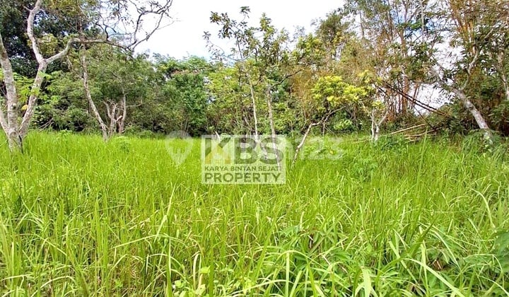 Land for Sale with Large Area and SHM Certificate @ KM 13 Tanjungpinang!
