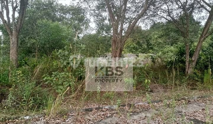 DIJUAL TANAH LUAS JL. PANTAI TRIKORA - BINTAN