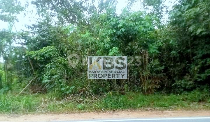 Dijual Tanah Strategis 37.840 M² - Jl. Kawal, Bintan