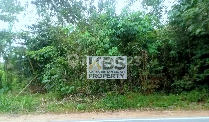 Dijual Tanah Strategis 37.840 M² - Jl. Kawal, Bintan