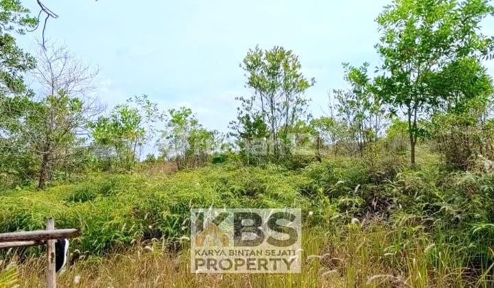Land for Sale – Wide & Strategic – Jl. Korindo, Bintan