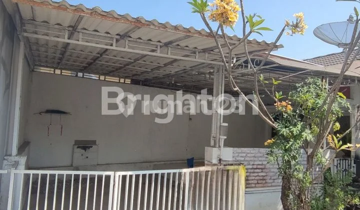 Termurah Grand Deltasari Delta Anthurium