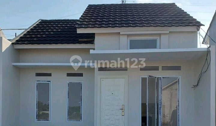 New Cluster House