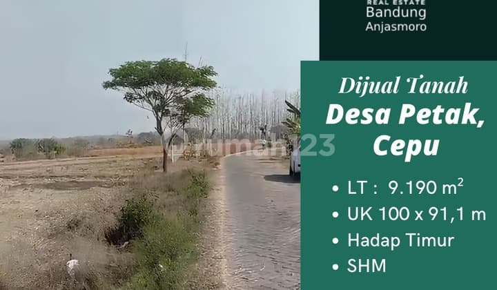 For Sale: Large Land in Tambakromo, Cepu, Blora, Central Java