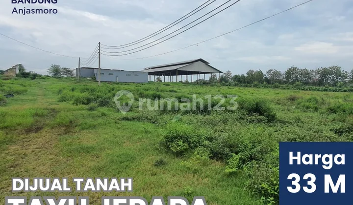 Dijual Tanah di Jl. Tayu Jepara, Tayu