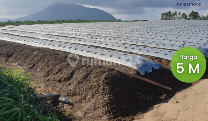 Dijual Tanah di Jl. Ngablak, Kopeng