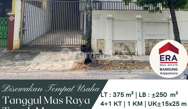 Disewakan Tempat Usaha Di di Jl. Tanggul Mas Raya, Tanah Mas