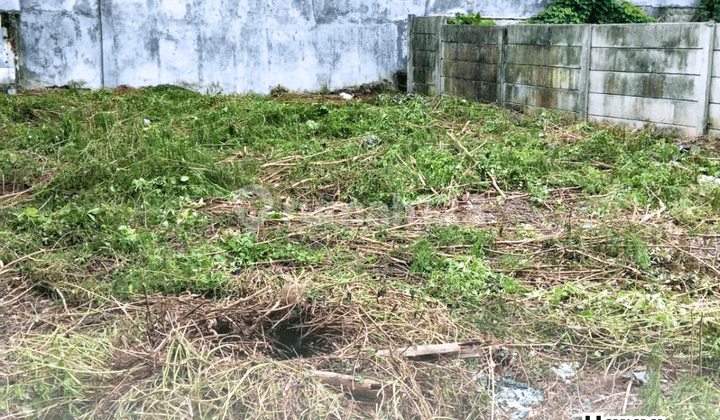 Disewakan Tanah SHM Karangturi Tiber Semarang Timur