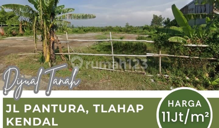 Dijual Tanah Pinggir Jalan Raya Pantura Tlahap Kendal