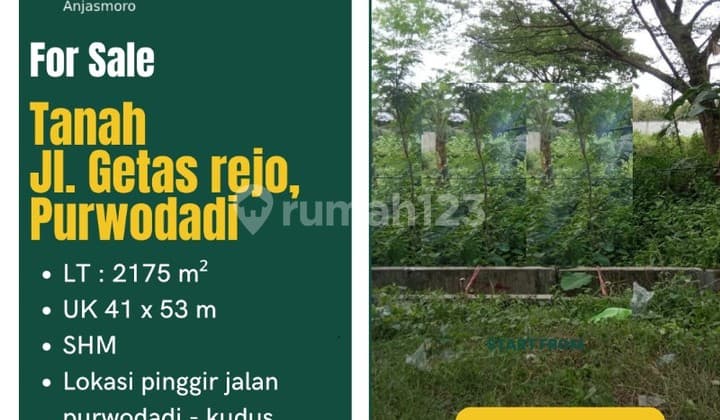 DIJUAL TANAH LUAS SHM PINGGIR JALAN RAYA PURWODADI KUDUS
