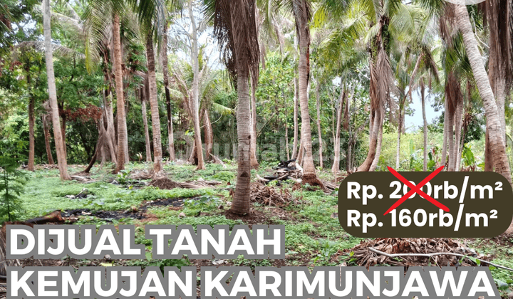Dijual Tanah di Jl. Kemujan, Karimunjawa, Karimunjawa
