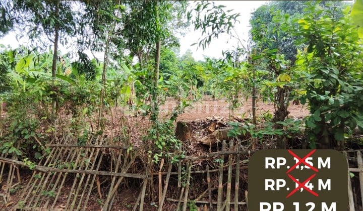 Dijual Tanah Luas Dawuan Barat Cikampek Karawang