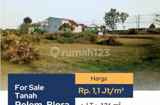 FOR SALE, LAND WITH CERTIFICATE, 2 PLOTS IN PELEM VILLAGE, BLORA