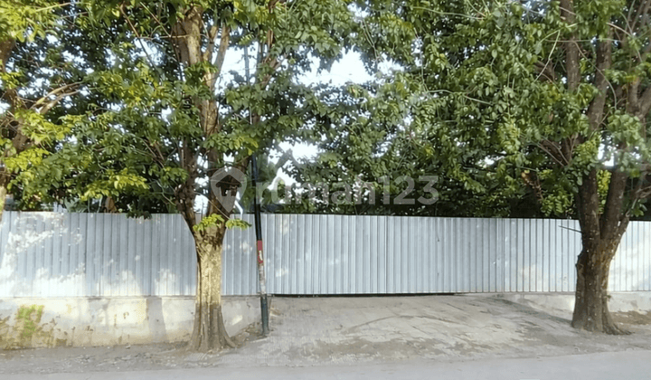 Disewakan Tanah Strategis Jl Syuhada Raya Tlogosari