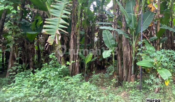 Dijual Tanah SHM Podorejo Ngalyan