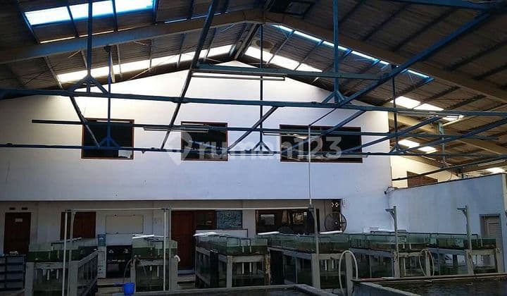 quick sale Warehouse plus office in Rawalele Kalideres, West Jakarta