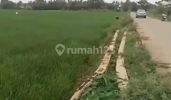 Dijual Tanah Di Sepatan Tangerang