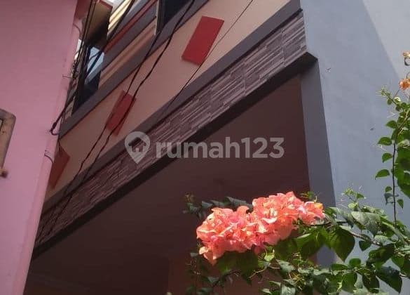 Rumah dijual cepat, di Pademangan 3 gang Satria 1 3 Lantai SHM Bagus Utara