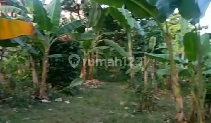 Land in Lenteng Agung 4775m2 Suitable for Housing, Cafe, etc.