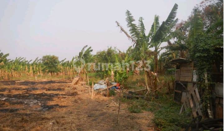 Dijual Tanah 16.600m2 di Jalan Lingkar Luar Barat Harga Nego