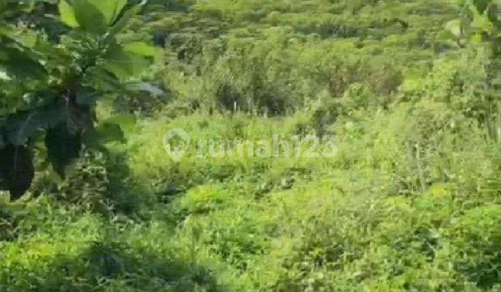 Dijual Cepat Tanah 100 Hektare di Sentul Lokasi Oke Harga Murah