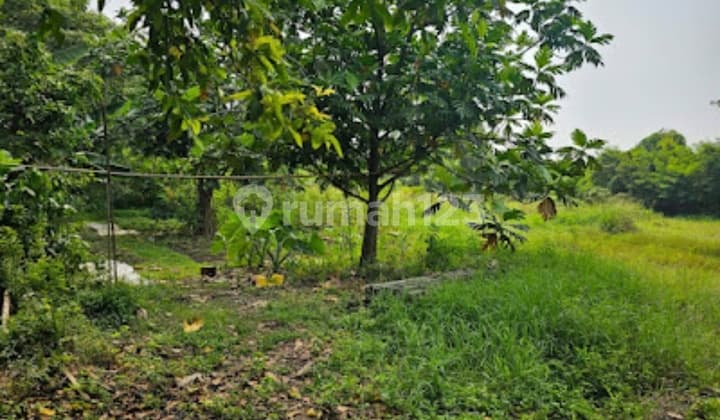 Disewakan Kavling / Tanah Di Kavling Dpr Cipondoh Tangerang