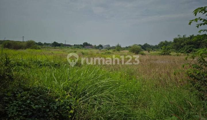 Disewakan Tanah Nol Jalan Zona Industri di Prambon Sidoarjo