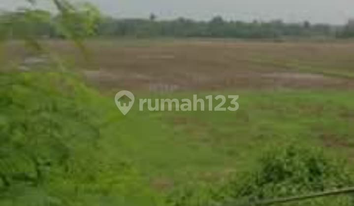 Land for Sale in Panongan Legok, Suitable for Warehousing, Industrial Designated Area