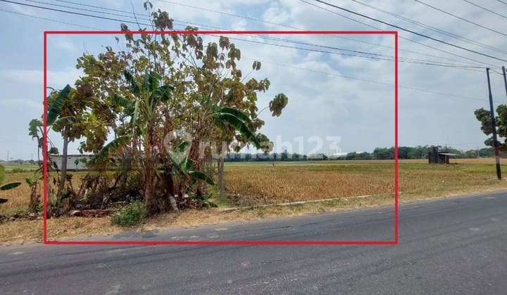 Farmland by the Main Road, SHM 500 m² in Jetis, Karanganyar