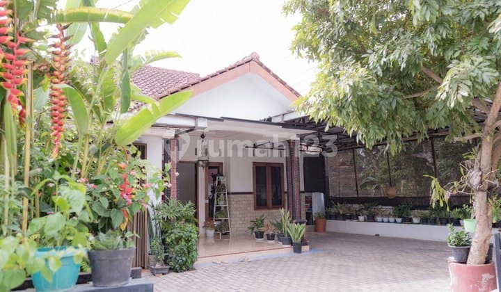 Rumah Full Furnished Lengkap Dengan Toko Di Giriwoyo Wonogiri